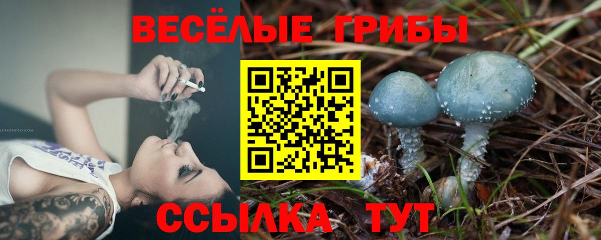 Саров  Галлюциногенные грибы MAGIC MUSHROOMS  Вход с VPN  цены наркотик  Галлюциногенные грибы ЛСД 